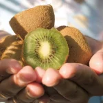 Kivi: zelené tajemství zdravé imunity kivi-zelene-tajemstvi-zdrave-imunity.webp.webp