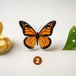 Test potenciálu: jste připraveni na osobní transformaci? test-potencialu-jste-pripraveni-na-osobni-transformaci.webp.webp